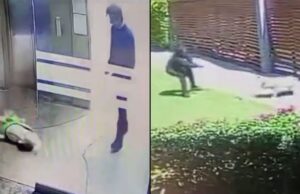 Queman a médico por az0tar bruscamente a su pequeño perrito