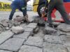 Realiza Gobierno Municipal trabajos de bacheo y reparación de adoquín en el Centro Histórico