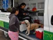 A través de Ambudog, Municipio de Soledad acerca vacu antirrábica y más atención veterinaria