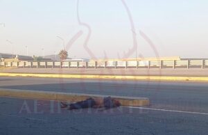 Hombre muere atropellado en carretera 57 y carretera 22 con desviación a Zaragoza