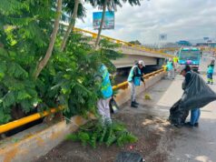 Ayuntamiento de SLP realiza mantenimiento y destape de drenajes pluviales en el Distribuidor Juárez