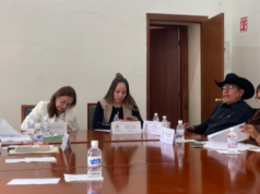 Comisión Primera de Justicia aprobó dictamen que reforma el Código Penal para establecer agravantes a la apología del delito. Dip. María Leticia Vázquez Hernández