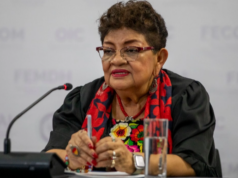 «Soberanía no se somete a presiones externas ni internas»: Ernestina Godoy