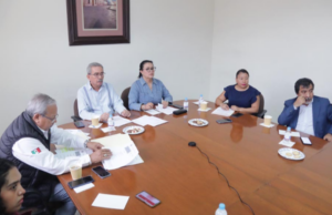 En apoyo a todas las escritoras, incluidas las de lenguas indígenas, se eliminó la palabra comercialización
