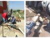 Interapas restablece operación del pozo Villamagna II
