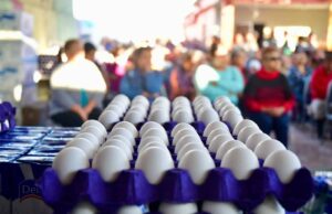 San Luis Potosí ocupa quinto lugar nacional en producción de huevo